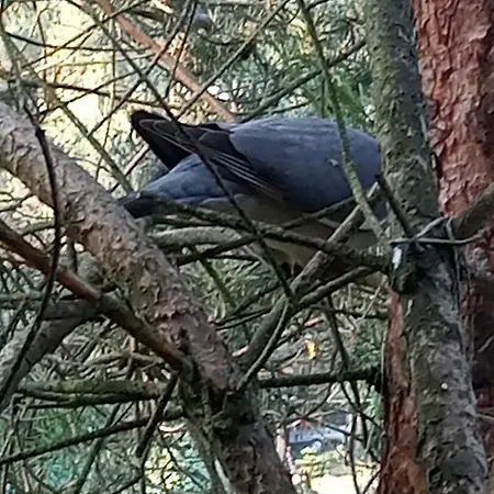 Hébergement de vacances Dom Lech Kaszuby Do 8 Os.