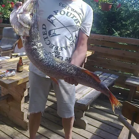 Dom Lech Kaszuby Do 8 Os. Hébergement de vacances Olpuch