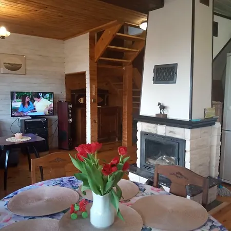 Dom Lech Kaszuby Do 8 Os. Olpuch