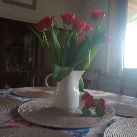 Dom Lech Kaszuby Do 8 Os. Olpuch