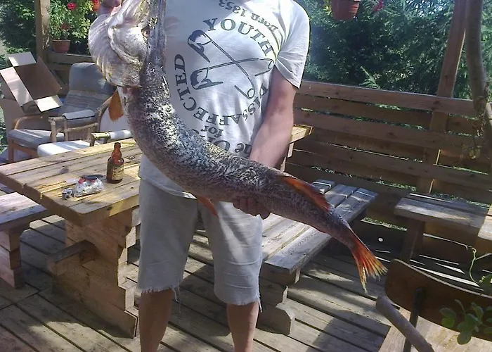Dom Lech Kaszuby Do 8 Os. Dom wakacyjny Olpuch