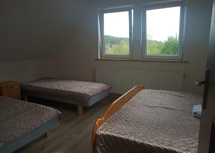 Dom wakacyjny Dom Lech Kaszuby Do 8 Os.